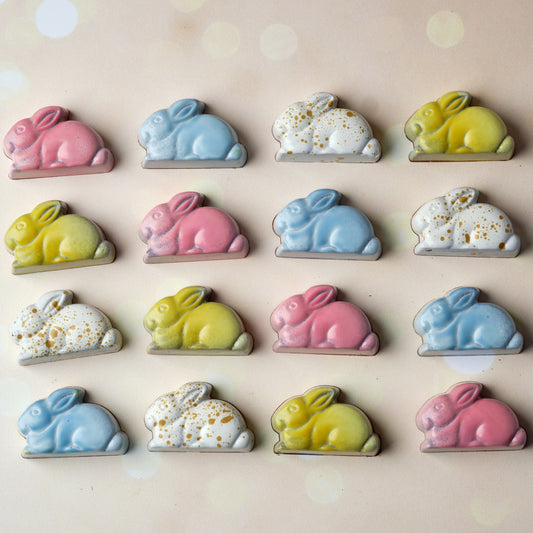 Easter Bunny Adoption Box