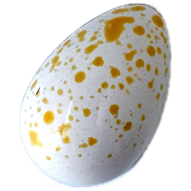 The ultimate flavor combination: salty caramel & vanilla ... slowly cooked and seasoned to perfection, this bite is the creamy easter egg of your dreams!